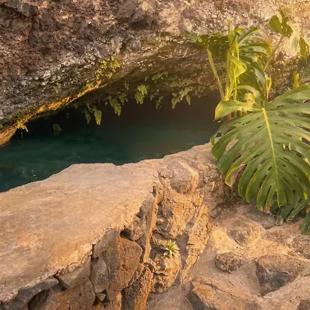Gasthuis Waterfall Cave Pools Sauna Wild Banana Farm Ponta do Sol (Madeira)