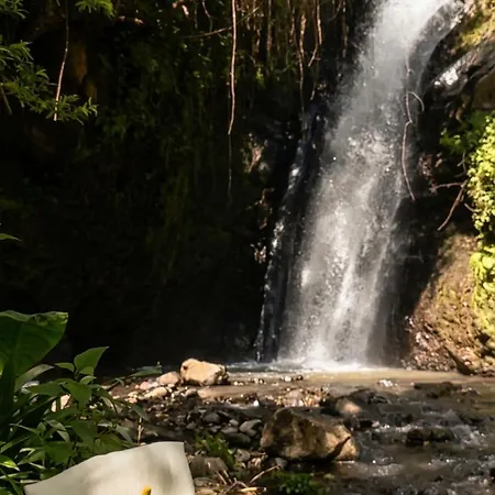 Gasthuis Waterfall Cave Pools Sauna Wild Banana Farm 3*