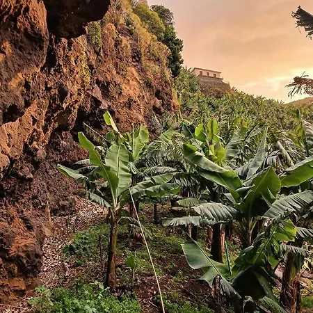 Waterfall Cave Pools Sauna Wild Banana Farm Ponta do Sol (Madeira)