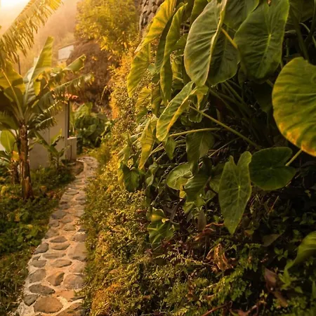 Gasthuis Waterfall Cave Pools Sauna Wild Banana Farm 3*